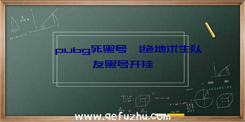 「pubg死黑号」|绝地求生队友黑号开挂